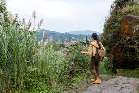 Téléchargez les photos : Femme faire de la randonnée avec bâton de trekking et marcher à travers la montagne - en image libre de droit