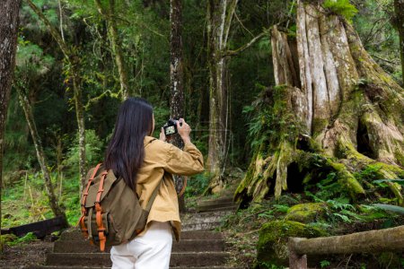Foto de Senderismo mujer utilizar la cámara digital para tomar fotos en el bosque - Imagen libre de derechos