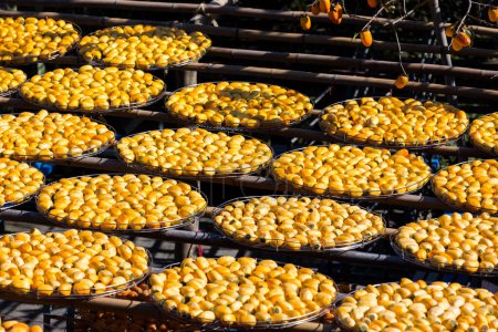 Téléchargez les photos : Production sèche de fruits de kaki sous le soleil de l'usine - en image libre de droit