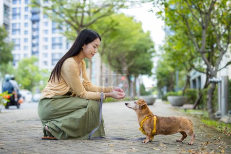 Téléchargez les photos : Femme nourrir son chien avec une collation dans la rue - en image libre de droit