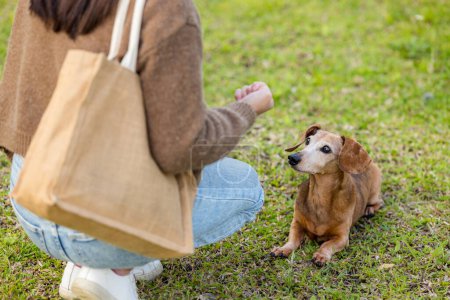Photo for Woman give snack to her dog at outdoor - Royalty Free Image