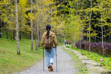 Foto de Mujer con mochila y bastones de trekking caminando por el bosque - Imagen libre de derechos