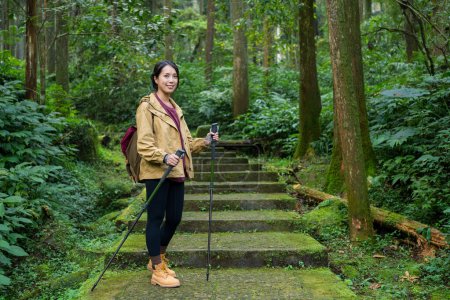 Téléchargez les photos : Randonnée femme faire de la randonnée et marcher le long du sentier de randonnée dans la forêt - en image libre de droit