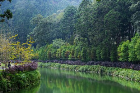 Téléchargez les photos : Belle vue sur la zone de loisirs de la forêt marine Sun link à Nantou, Taiwan - en image libre de droit