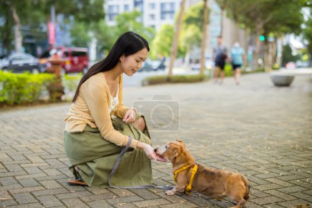 Photo for Woman feed her dog with snack at the street - Royalty Free Image
