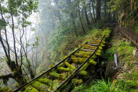 Téléchargez les photos : Sentier de randonnée à Taipingshan de Yilan Jianqing Huaigu Trail - en image libre de droit