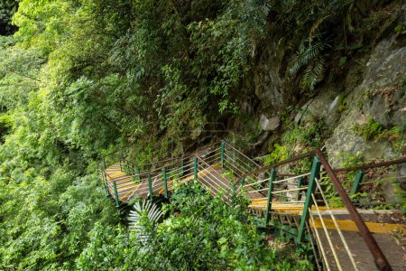 Téléchargez les photos : Hiking trail in Hualien Taroko Shakadang Trail - en image libre de droit