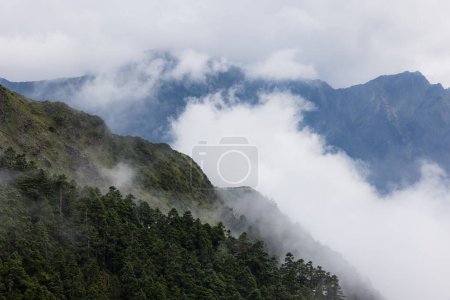 Téléchargez les photos : Montagne luxuriante de verdure avec la brume brumeuse - en image libre de droit