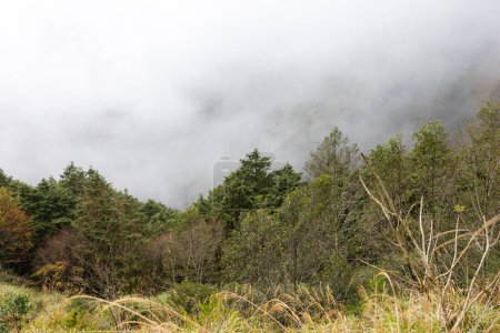 Foto de Niebla brumosa sobre la montaña - Imagen libre de derechos