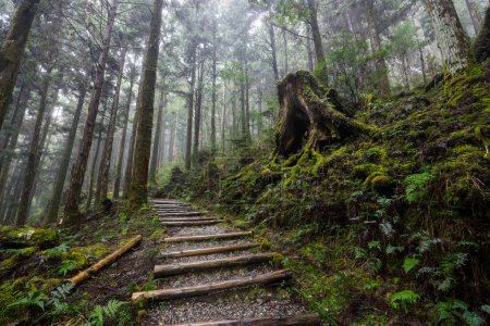 Téléchargez les photos : Sentier de randonnée dans le parc national de Taipingshan de Yilan Jianqing Huaigu Trail - en image libre de droit