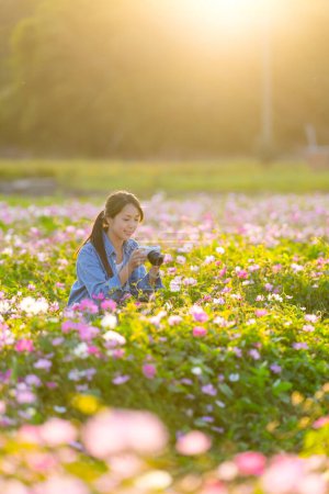 Foto de Mujer utilizar la cámara para tomar fotos en el campo de flores - Imagen libre de derechos
