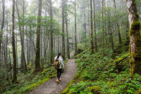 Téléchargez les photos : Femme faire de la randonnée dans la brume brumeuse forêt - en image libre de droit