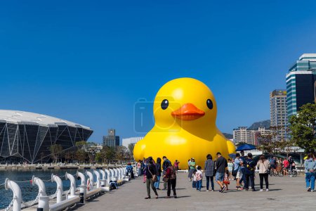 Téléchargez les photos : Taiwan - 01 février 2024 : Canard jaune dans la baie de Kaohsiung à Taiwan - en image libre de droit