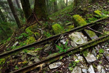 Zugstrecke über den Wald in Yilan Taipingshan verlassen