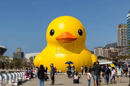 Téléchargez les photos : Taiwan - 02 février 2024 : Canard jaune dans la baie de Kaohsiung à Taiwan - en image libre de droit