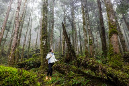 Woman use camera to take photo walk in foggy mist forest in Taipingshan Jianqing Huaigu Trail