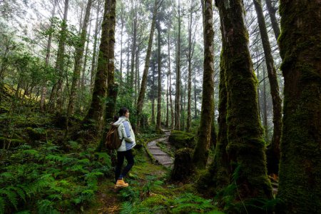 Téléchargez les photos : Femme faire de la randonnée au-dessus de la forêt - en image libre de droit