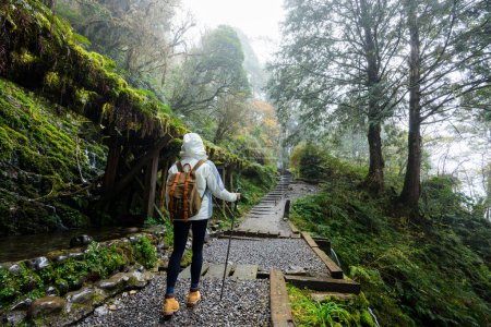 Frau wandert im nebligen Nebelwald auf dem Taipingshan Jianqing Huaigu Trail