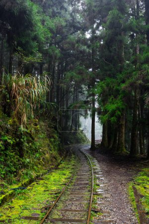 Abandonar la vía del tren sobre el bosque en Yilan Taipingshan