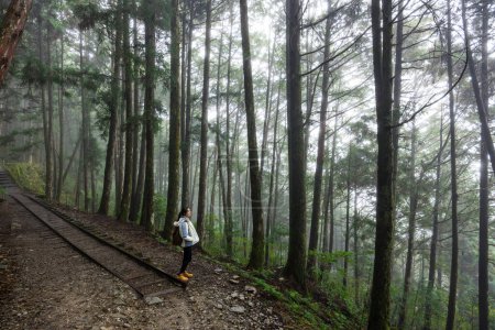 Frau wandert im nebligen Nebelwald in Taipingshan in Taiwan