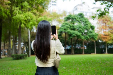 Téléchargez les photos : Femme utiliser photo mobile pour prendre une photo de l'arbre Ginkgo à la saison d'automne - en image libre de droit