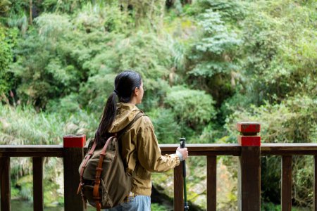 Téléchargez les photos : Randonnée pédestre femme le long du sentier forestier - en image libre de droit