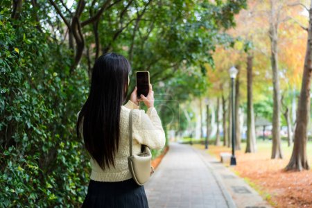 Téléchargez les photos : Femme utiliser photo mobile pour prendre une photo de l'arbre Ginkgo à la saison d'automne - en image libre de droit