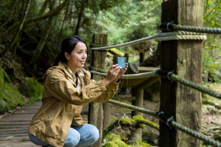 Téléchargez les photos : Randonnée femme utiliser son téléphone portable pour prendre des photos dans la forêt - en image libre de droit