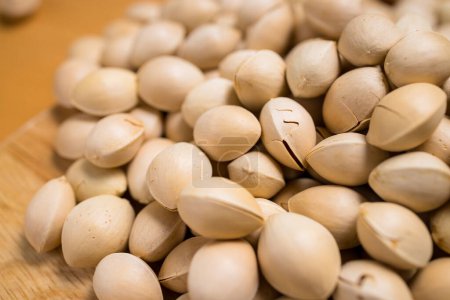 Photo for Seed pile of ginkgo biloba seed nut - Royalty Free Image