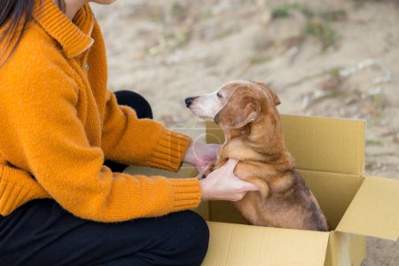 Mujer salvar a un perro sobre la caja de papel de abandono