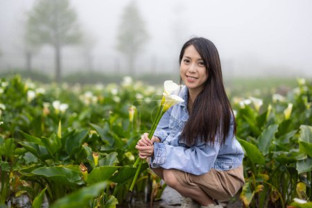 Téléchargez les photos : Femme asiatique visite Calla champ de lys - en image libre de droit