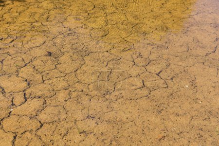 Foto de Agua a través de las grietas en la tierra de sequía - Imagen libre de derechos
