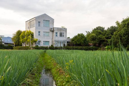 Sanshing scallion field in Yilan of Taiwan with the house resort