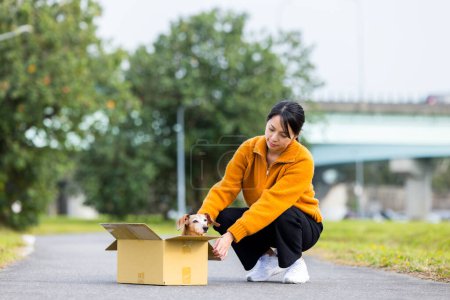 Foto de Mujer salvar a un perro sobre la caja de papel de abandono - Imagen libre de derechos