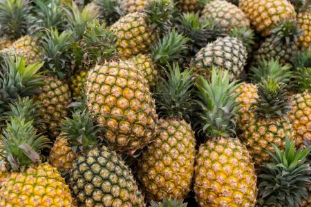 Photo for Pineapple sell in the fruit store in the market - Royalty Free Image