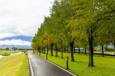 Téléchargez les photos : Passerelle avec rangée d'arbres à Yilan Dongshan à Taiwan - en image libre de droit