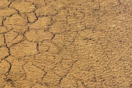 Téléchargez les photos : L'eau à travers les fissures sur les terres arides - en image libre de droit