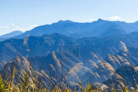 Téléchargez les photos : Journée ensoleillée bleue avec paysage de montagne à Taiwan - en image libre de droit