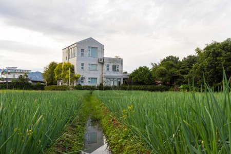 Sanshing campo de cebolletas en Yilan de Taiwán con el complejo de la casa
