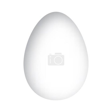 Foto de Un huevo blanco solitario se destaca sobre un fondo blanco puro, su superficie lisa que refleja una luz suave, ilustrando la simplicidad y el concepto de potencial. - Imagen libre de derechos