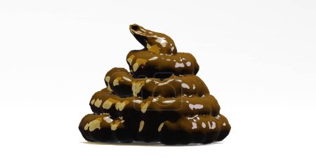 3d render of a pile of shit or poo for human solid waste or bullshit concept
