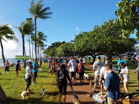 Foto de Honolulu, HI - 30 de octubre de 2016: Honolulu Pet Walk 2016, personas y perros comienzan a caminar en Ala Moana Beach Park el 12 de octubre de 2014 en Honolulu, Hawaii. El PetWalk 2014 recaudó $318.000. - Imagen libre de derechos