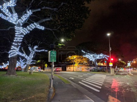 Téléchargez les photos : Honolulu - December 3, 2018: Christmas lights adorn trees along Green Painted King Street Protected Bike Lane intersecting roads in Downtown Honolulu at night. - en image libre de droit