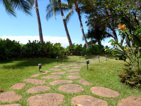 Foto de Camino de piedra bordeado de luces solares que conducen a la playa a través de hierba y árboles en Lahaina, Maui. Lahaina es una ciudad histórica en la costa oeste de Maui, conocida por su historia de la caza de ballenas, galerías de arte y restaurantes. La playa es un stret largo y arenoso - Imagen libre de derechos