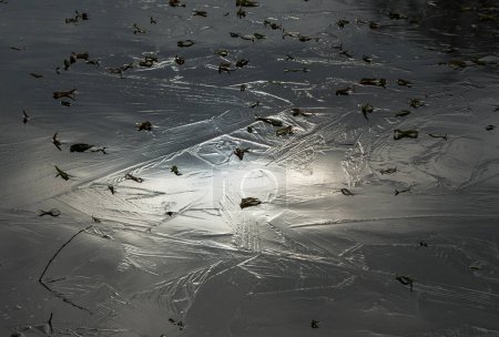 Foto de A medida que baja la temperatura del aire, se forma hielo en la superficie del agua. - Imagen libre de derechos