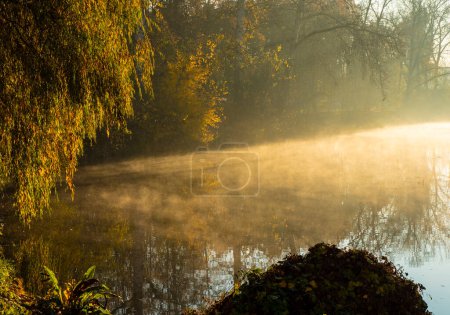 Foggy morning over the river. The fog is especially beautiful when it is hit by the rays of the rising Sun.