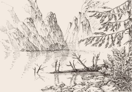 Téléchargez les illustrations : Paysage de montagne pinèdes forêt, rivière qui coule à travers les montagnes rocheuses - en licence libre de droit
