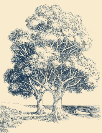 Illustration for Old trees on sea shore, detailed hand drawing - Royalty Free Image