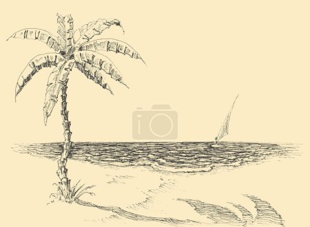 Téléchargez les illustrations : Palm tree on sea shore vector hand drawing - en licence libre de droit