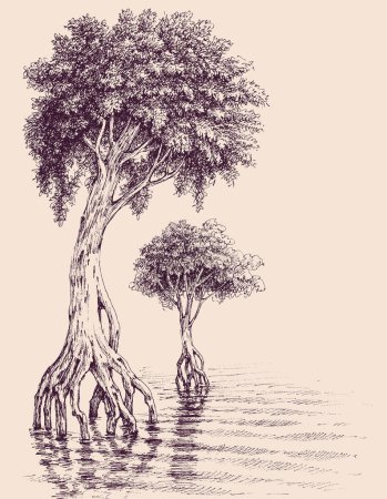 Téléchargez les illustrations : Trees growing in water and swamp tree roots hand drawing - en licence libre de droit
